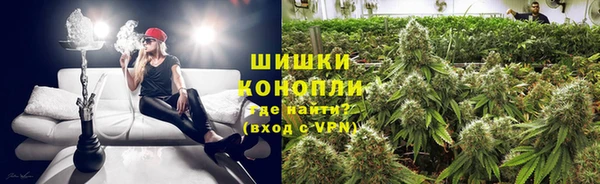 spice Верхний Тагил